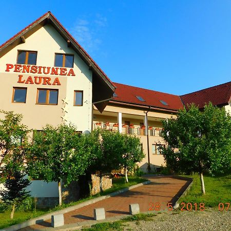 Pension Laura Cheile Turzii Petreştii de Jos المظهر الخارجي الصورة