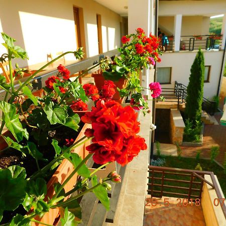 Pension Laura Cheile Turzii Petreştii de Jos المظهر الخارجي الصورة
