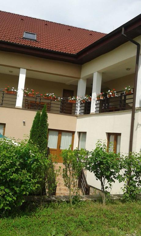 Pension Laura Cheile Turzii Petreştii de Jos المظهر الخارجي الصورة