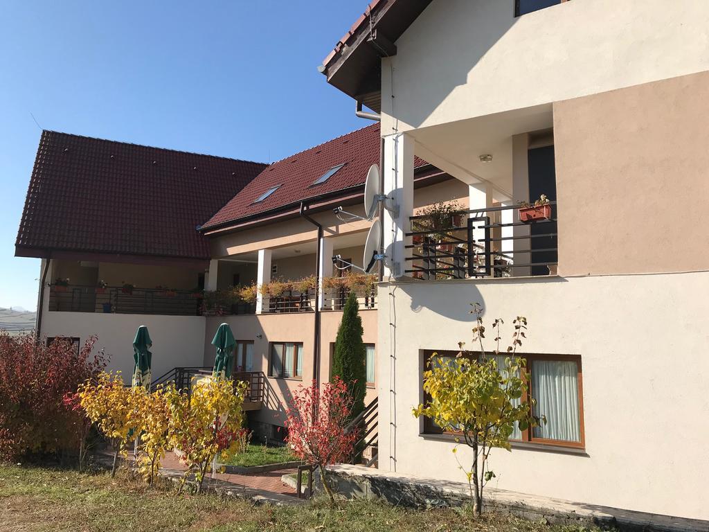 Pension Laura Cheile Turzii Petreştii de Jos المظهر الخارجي الصورة