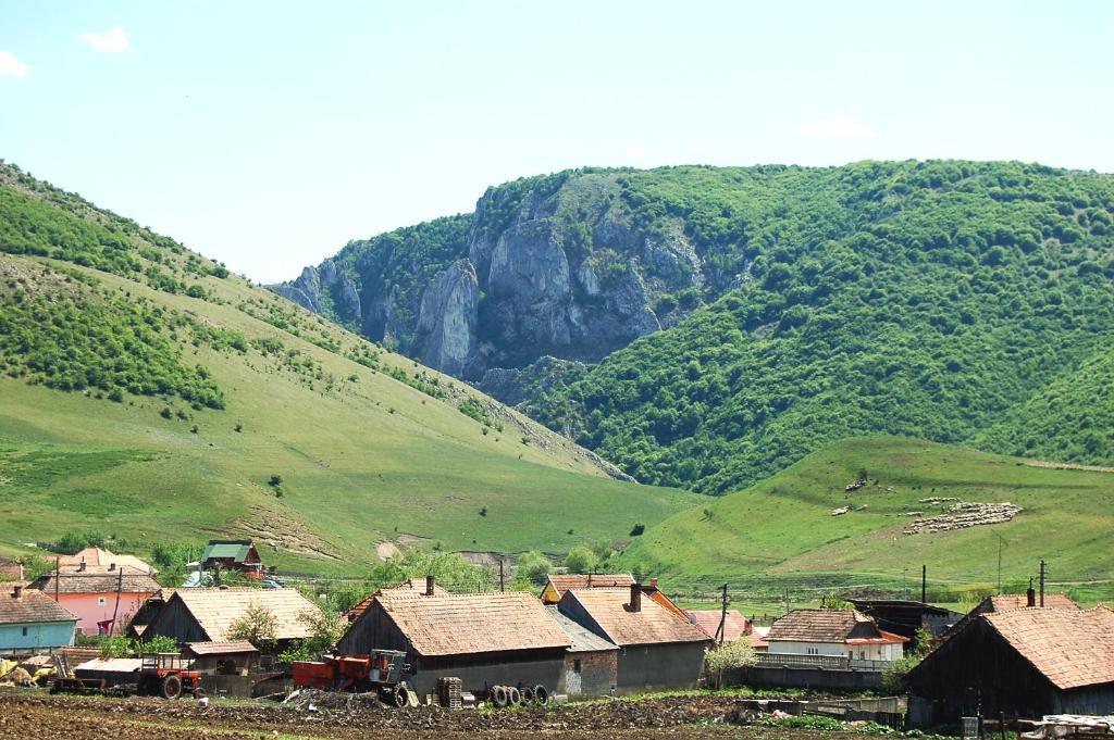 Pension Laura Cheile Turzii Petreştii de Jos المظهر الخارجي الصورة