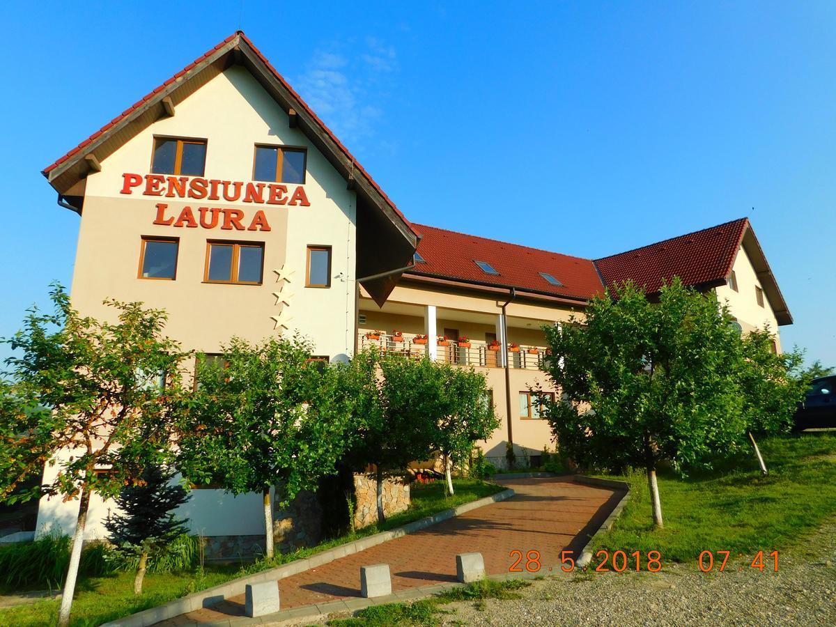 Pension Laura Cheile Turzii Petreştii de Jos المظهر الخارجي الصورة